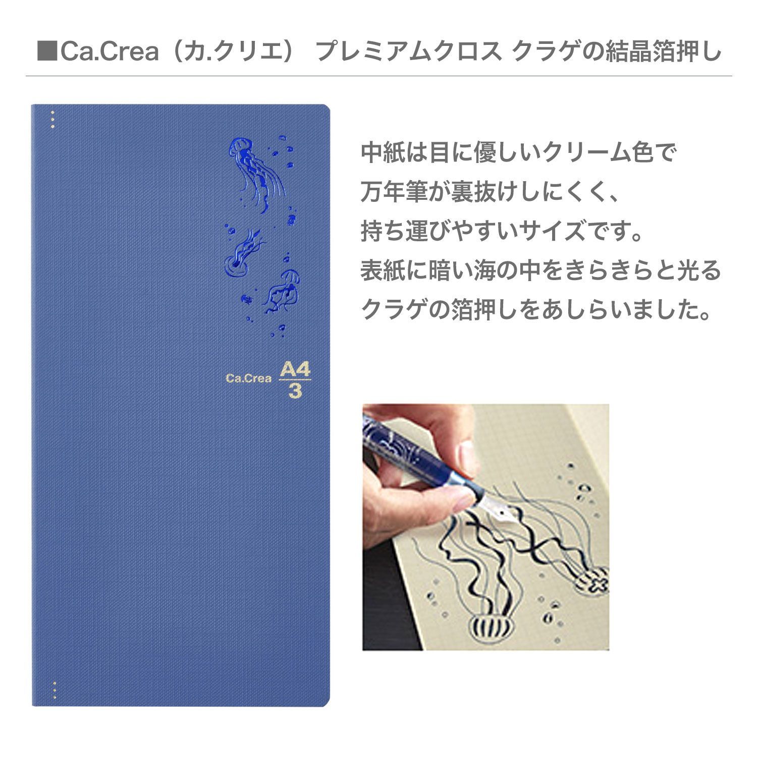  全2種から選択 セーラー万年筆 カ クリエ クロス プロフェッショナルギアスリム 海月セット 万年筆 万年筆 インク