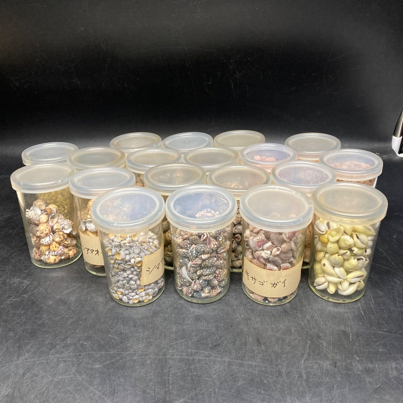 貝　【まとめ売り】 Amazon | ポッシュフェイス(POSH FAITH) バイク用品 アルミ