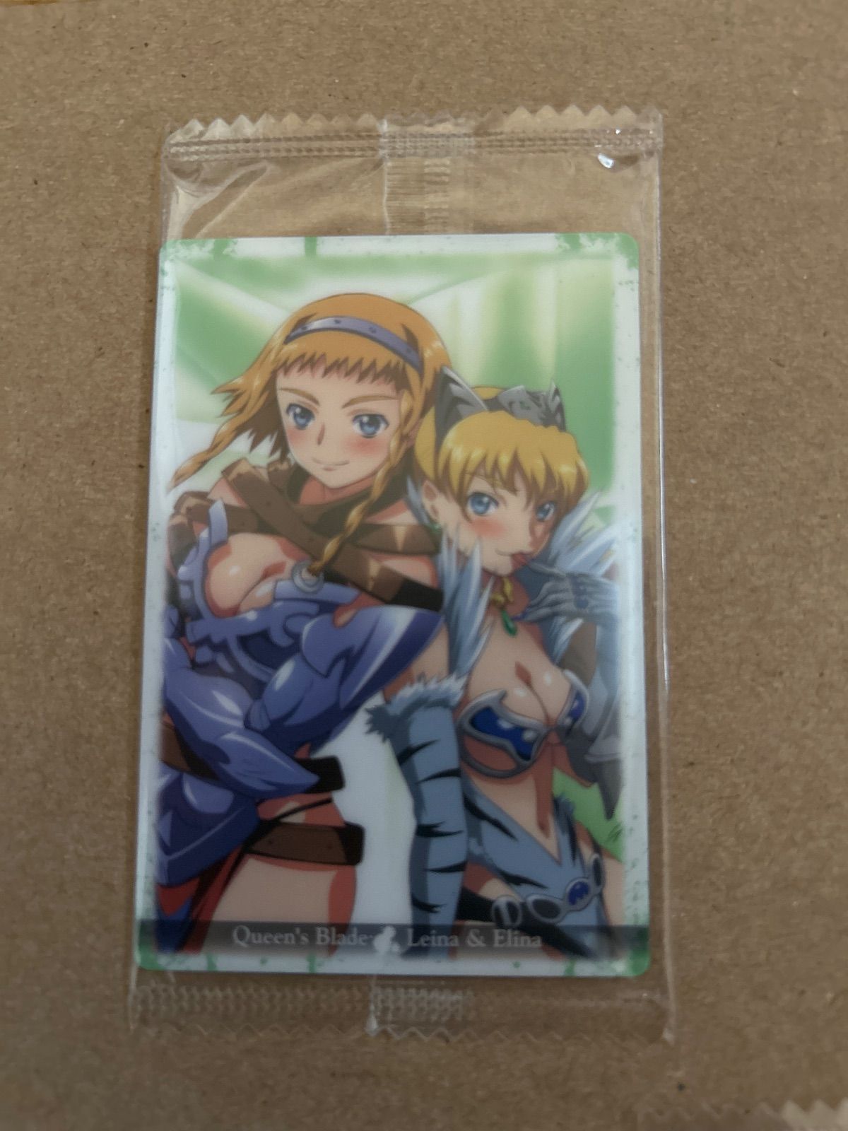 未開封イラストカード全6種コンプ》クイーンズブレイド コレクション