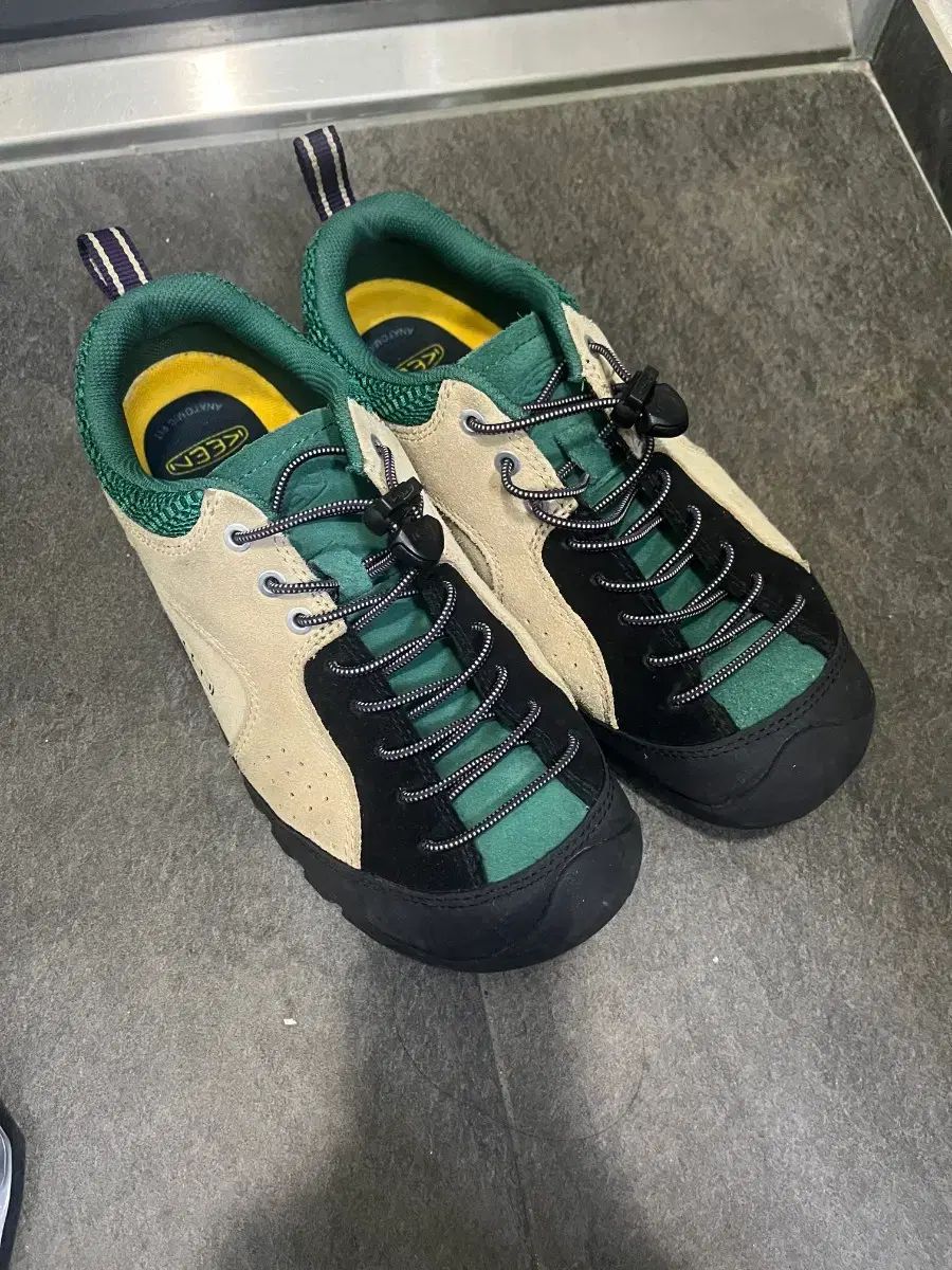 KEEN キーン ジャスパー 270