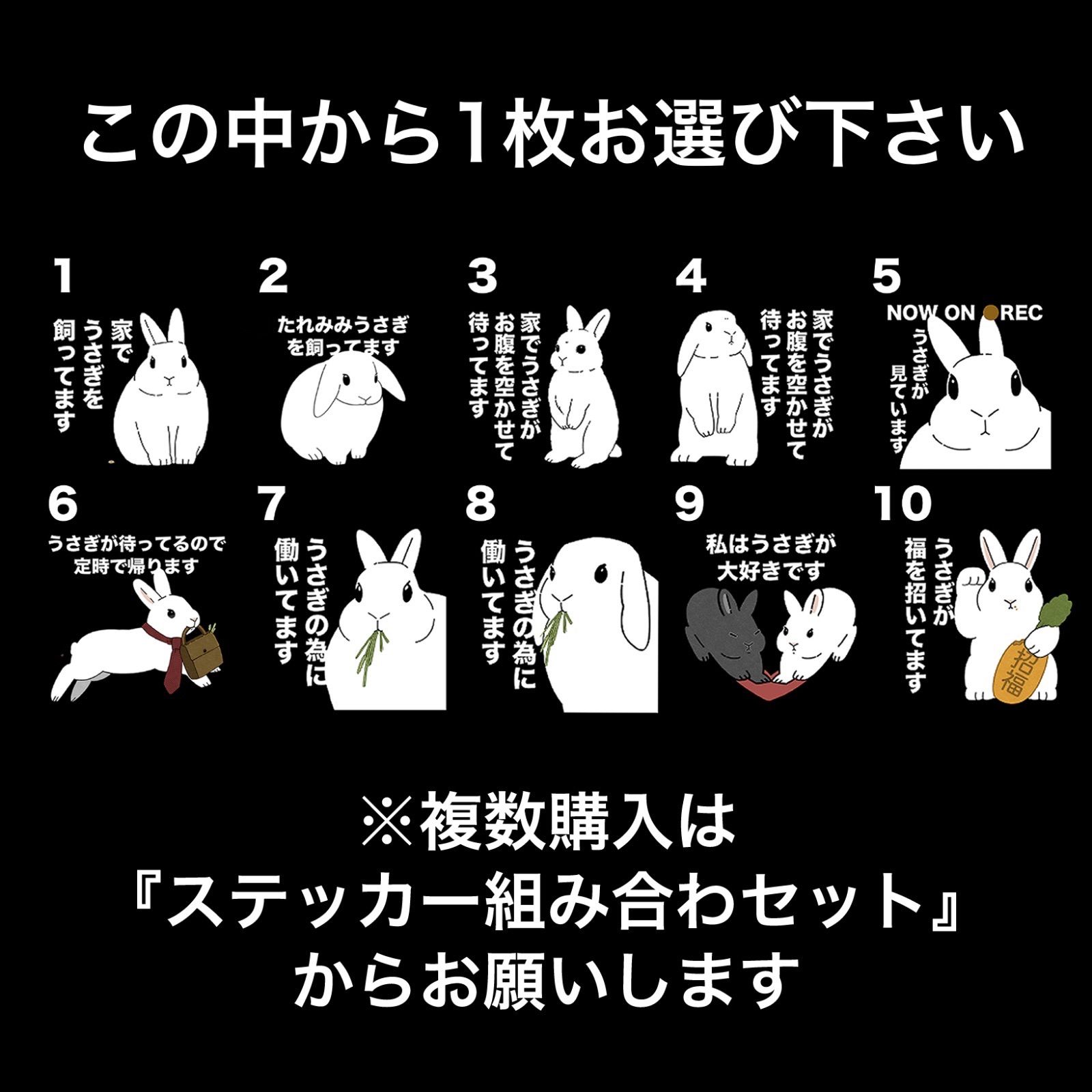 ☆1〜10番から1枚お選び下さい☆うさぎ飼い、うさぎ好きの為の