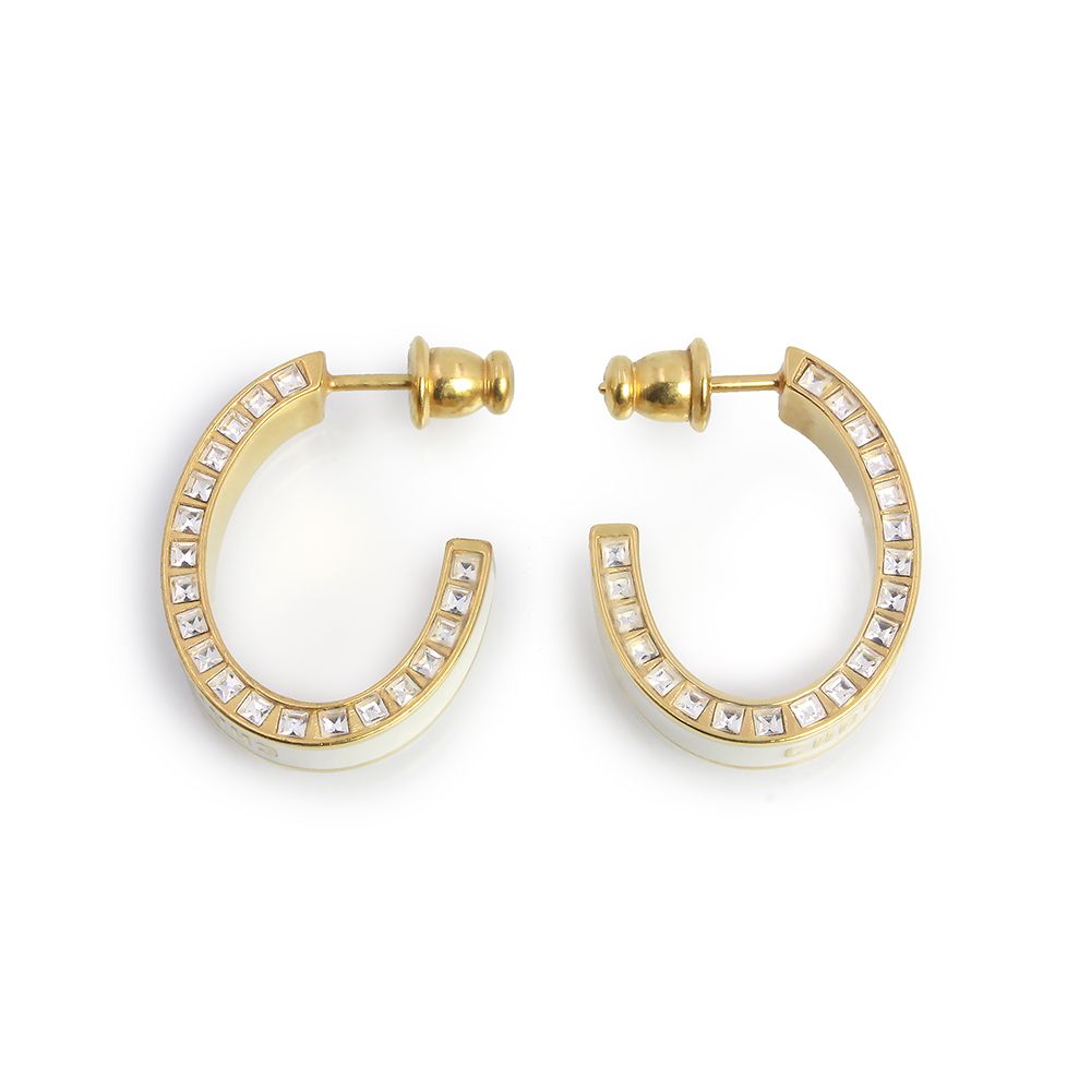 クリスチャンディオール ナイトコード Night Code フープ ピアス