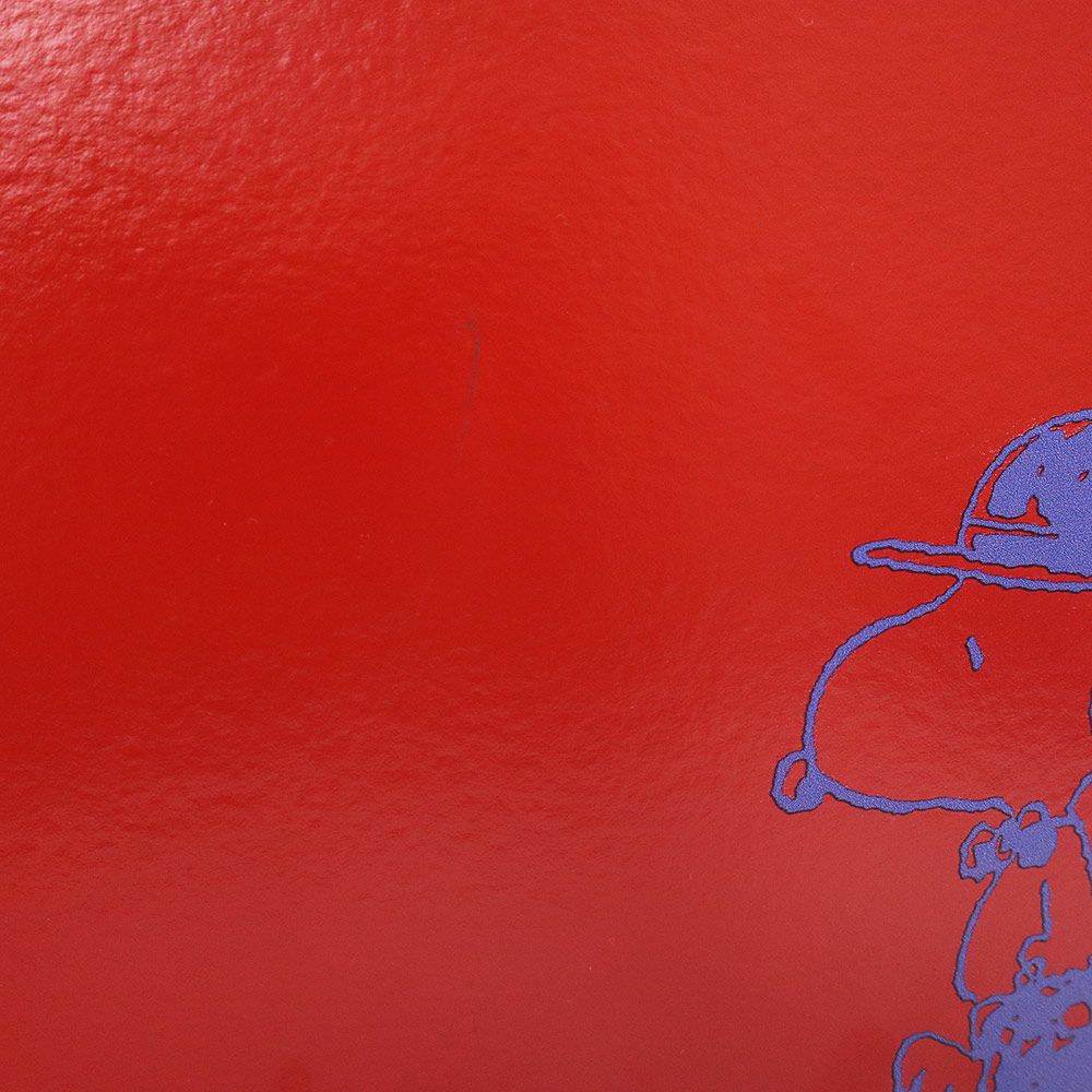 グローブトロッター