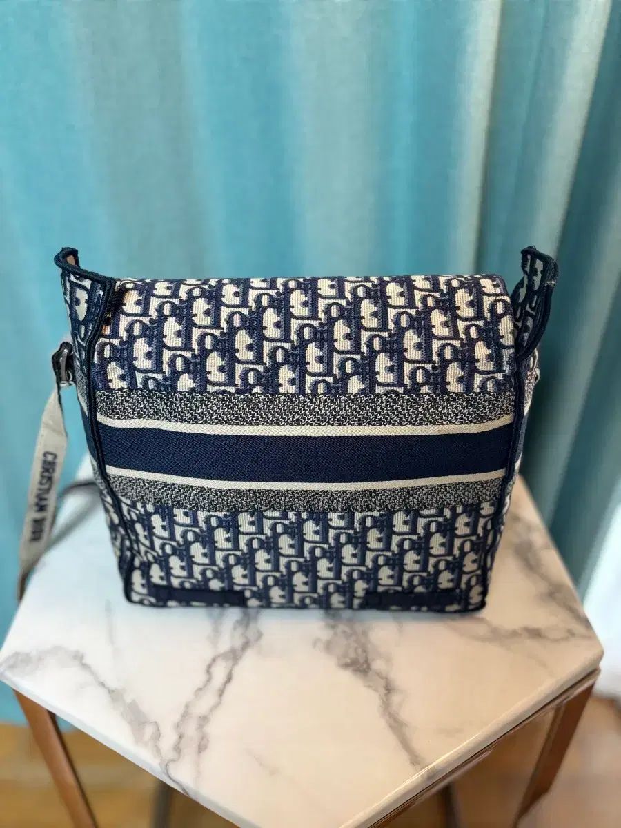 ディオール キャンプバッグ Mサイズ