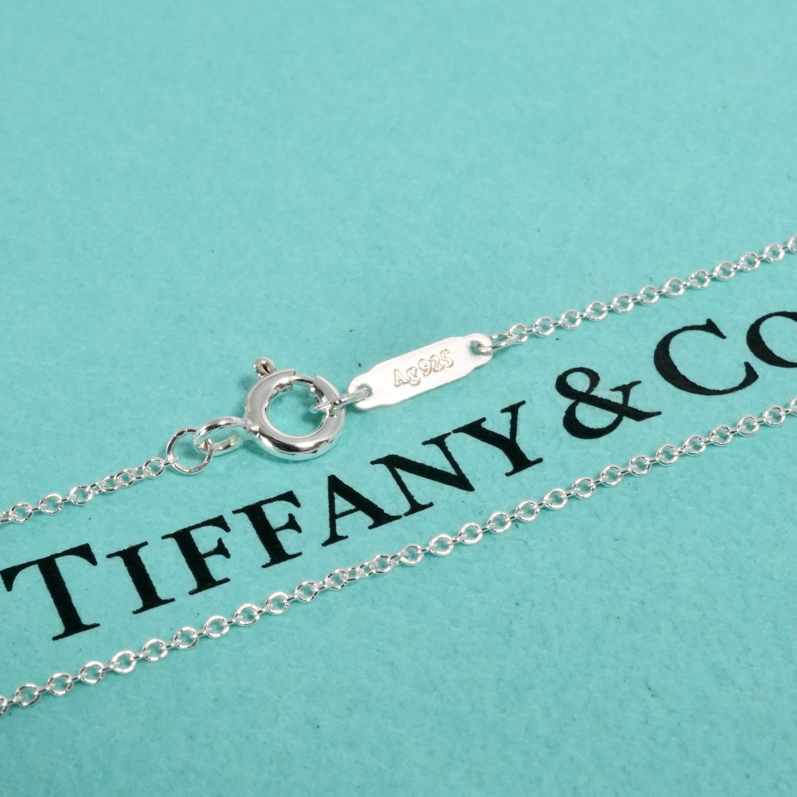 極美品40cm ティファニー ロゴタグ チェーン ネックレス/25-2154S