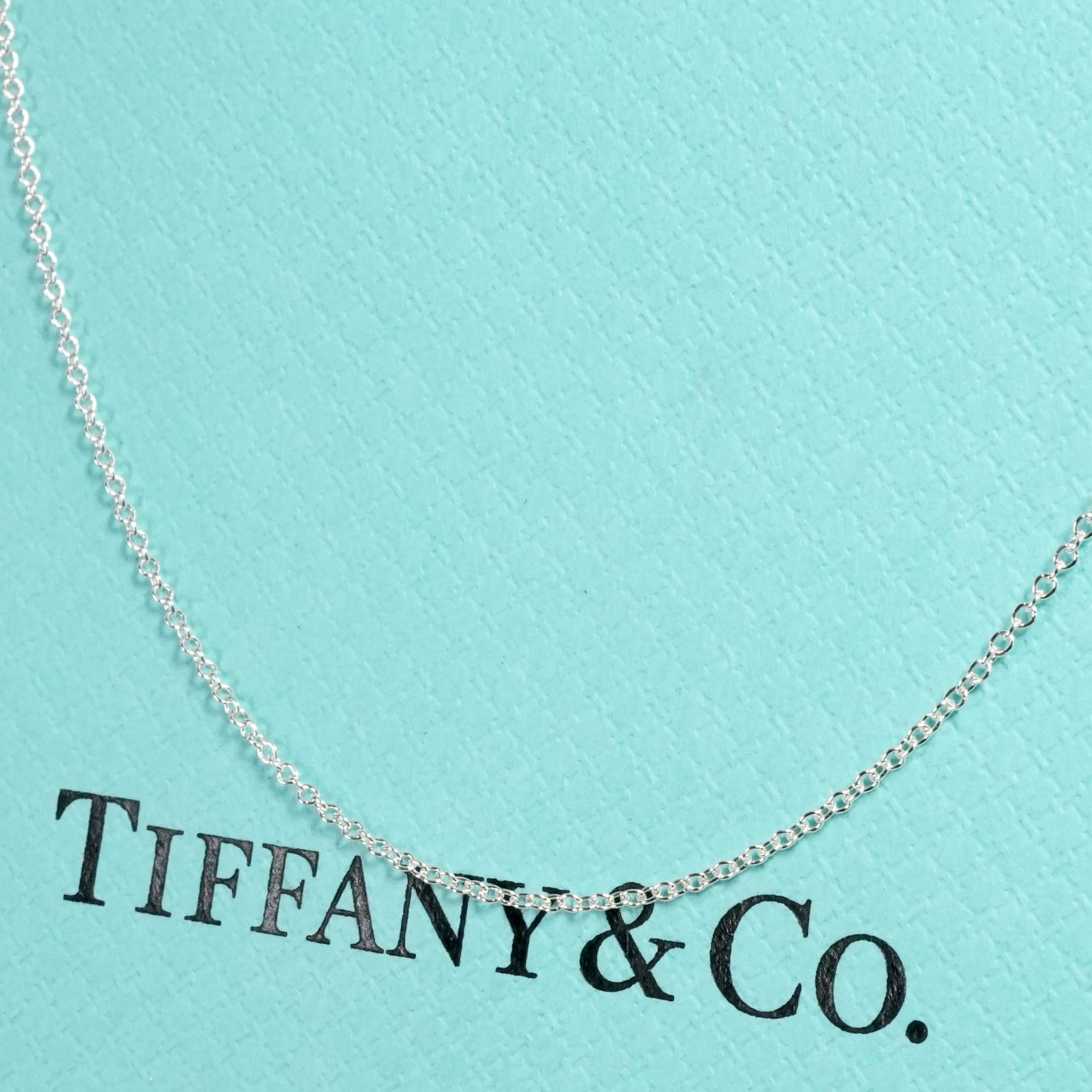 極美品40cm ティファニー ロゴタグ チェーン ネックレス/25-2154S