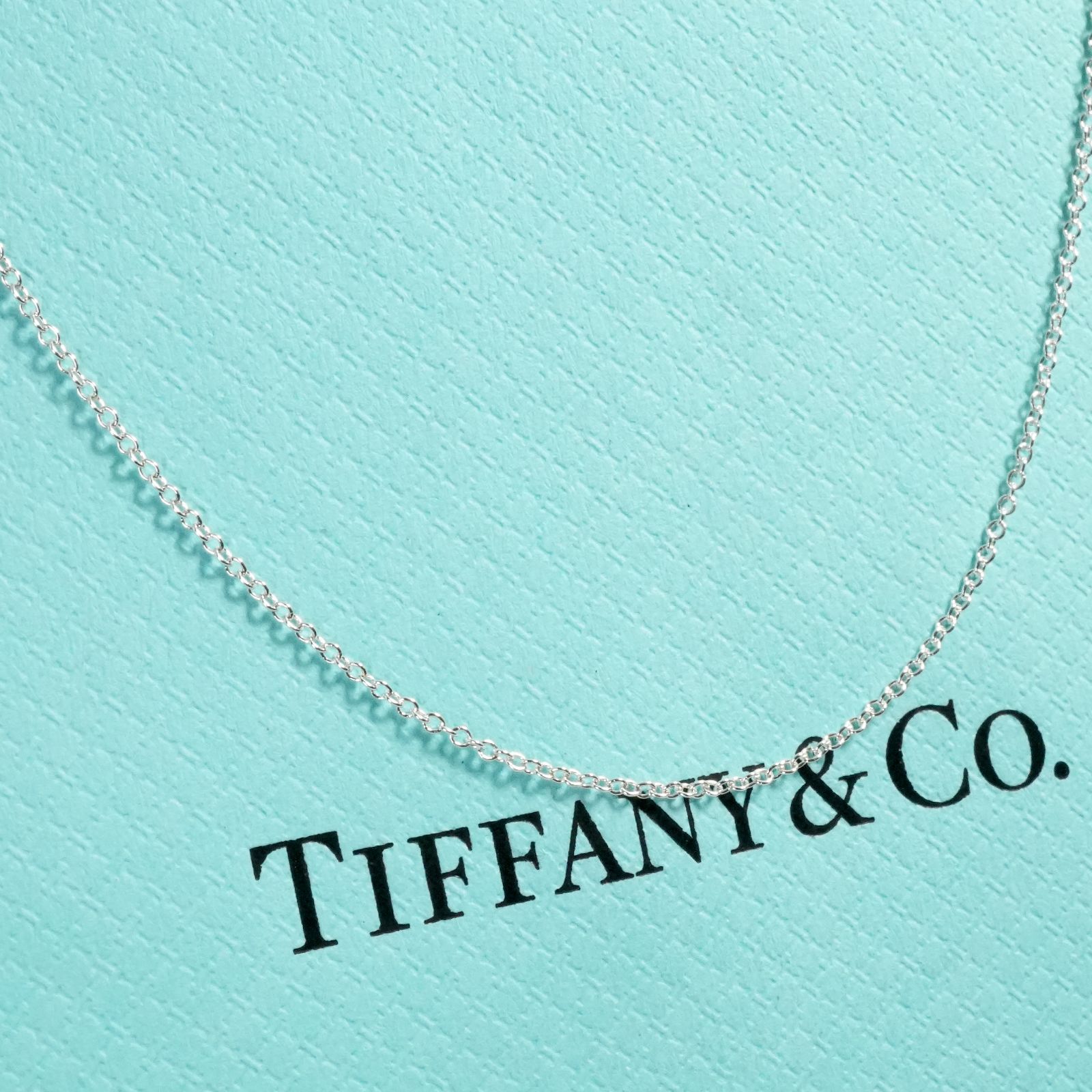 極美品40cm ティファニー ロゴタグ チェーン ネックレス/25-2154S