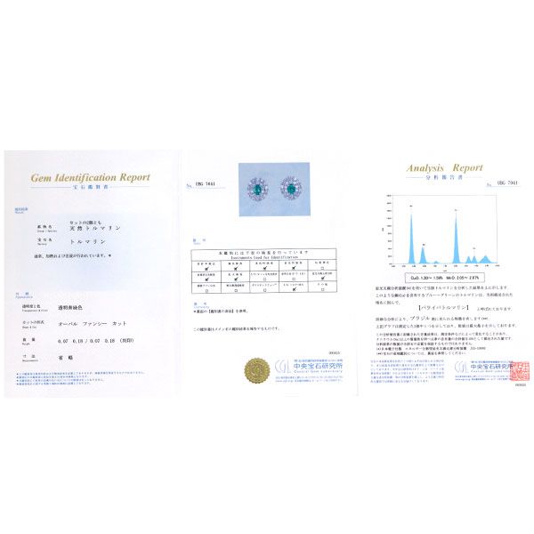  Pt 900 ブラジル産 パライバトルマリン ダイヤモンド ピアス 0.14 ct D 0.36 エスコレ ピアス(両耳用) アクセサリー
