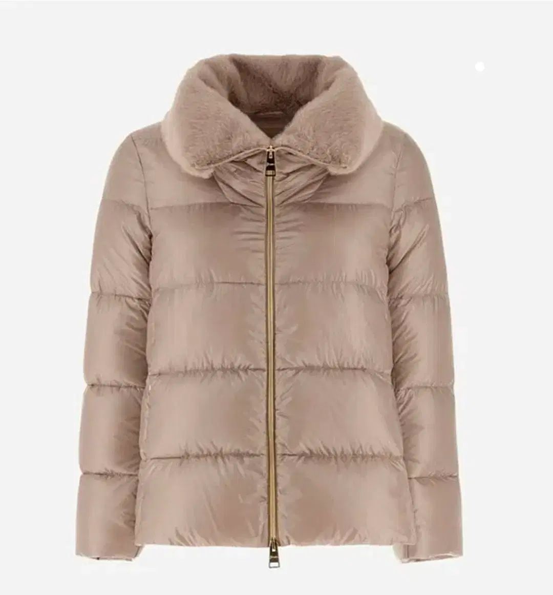 エルノエコーファージャケット 42 シャンティ