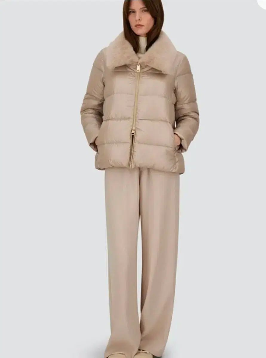 エルノエコーファージャケット 42 シャンティ