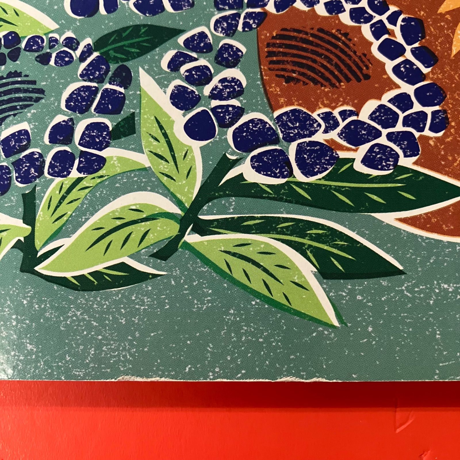 ころころえほん 絵本3冊セット cp_c16_655 - メルカリ