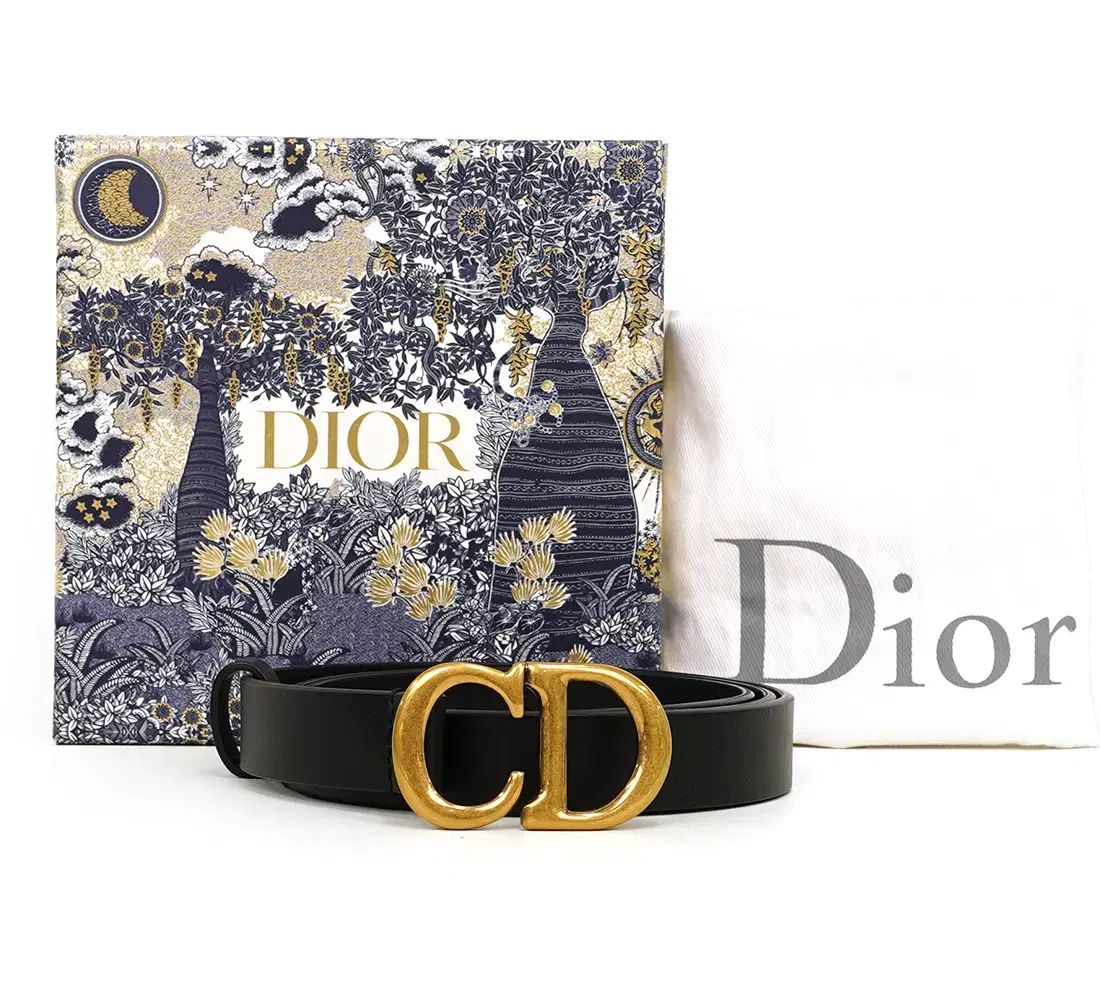 ブランド ディオール サドル ゴールド ベルト B 0042 CWGH