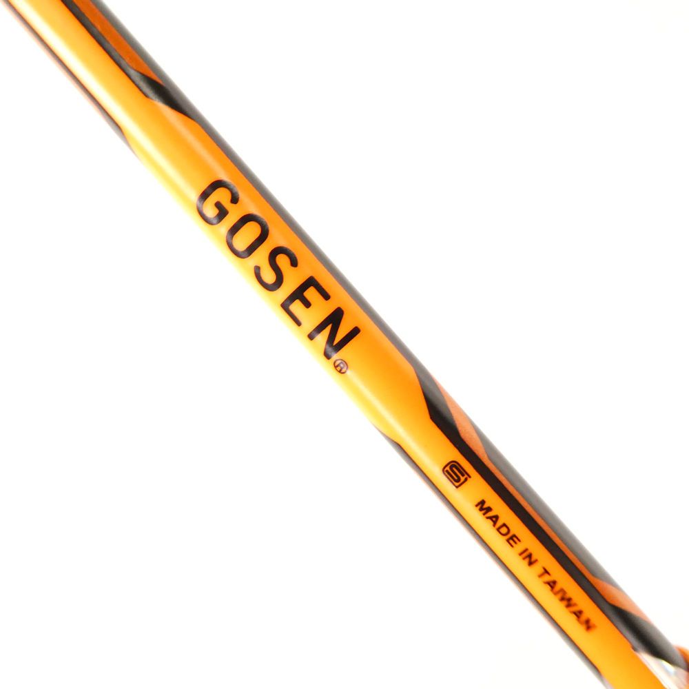 GOSEN ゴーセン CUSTOMEDGE TYPE X version 2.0 バトミントンラケット