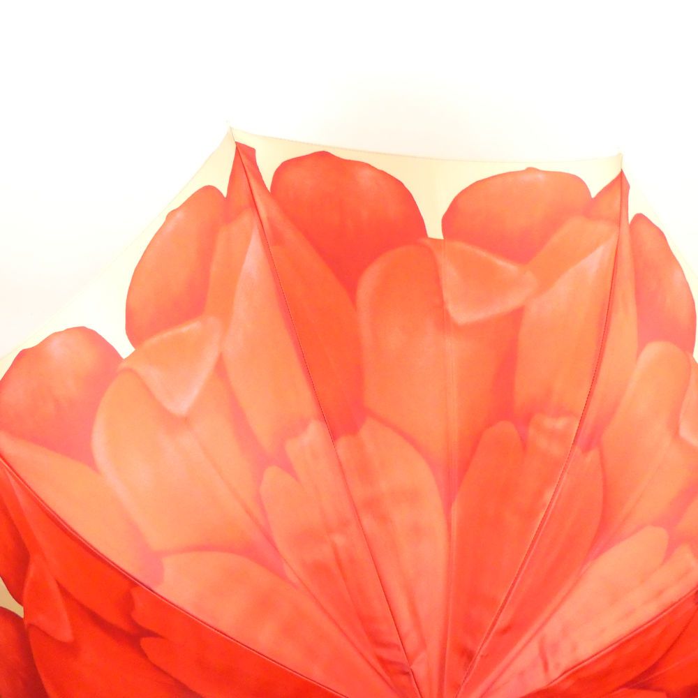 パソッティ ダリア