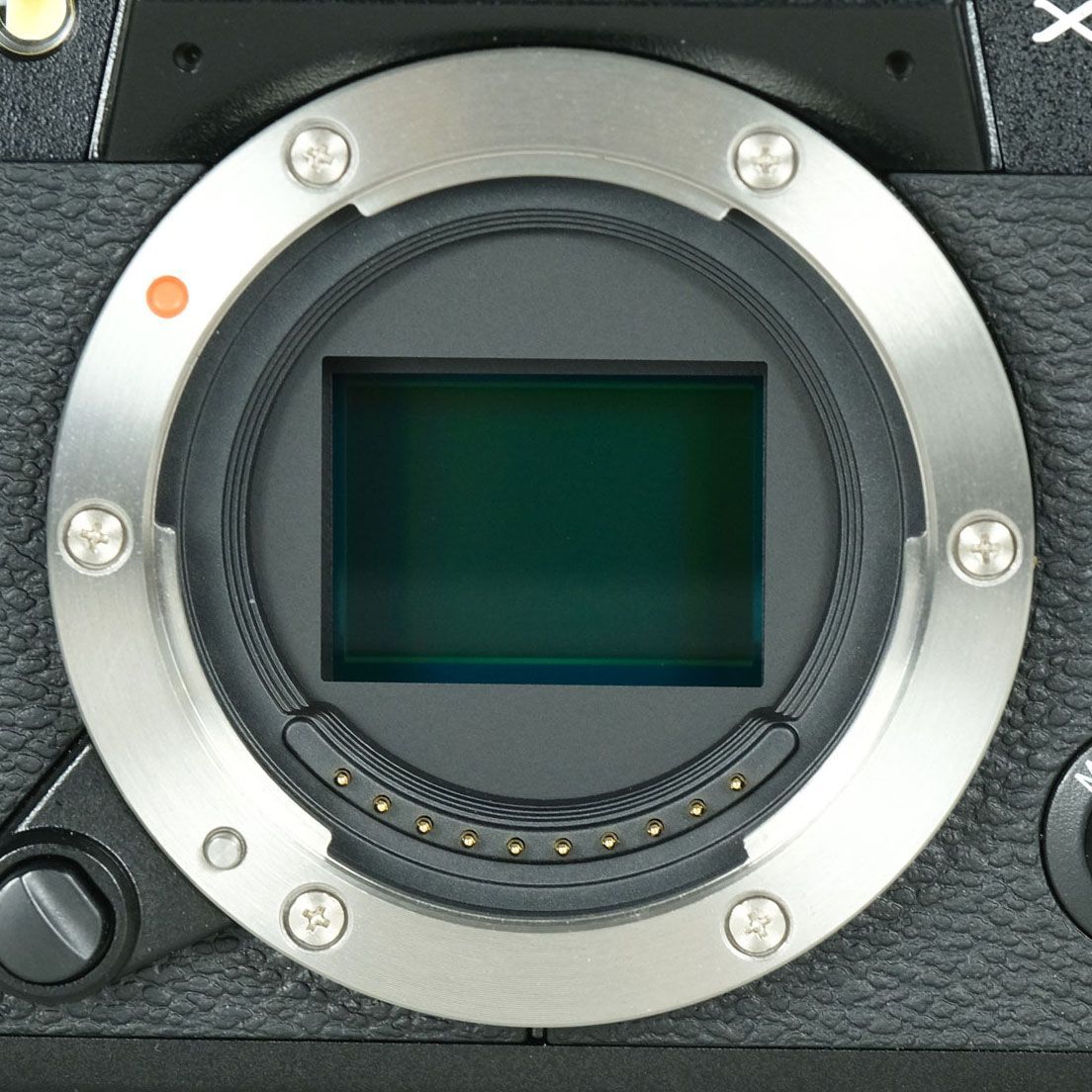 ボディ ブラック