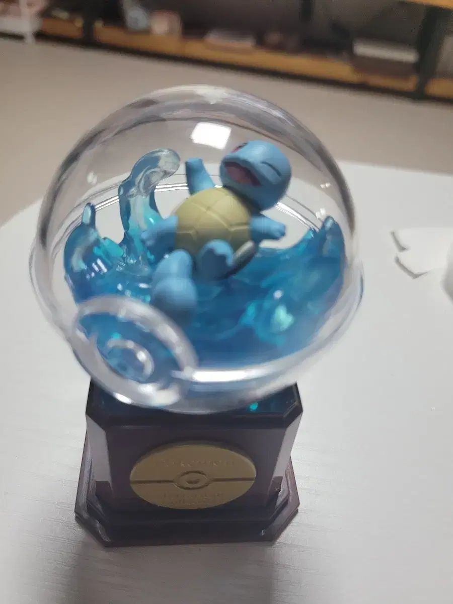 新作，限定SALE ポケットモンスター カメックス テラリウム 10弾 リーメント コレクション フィギュア その他