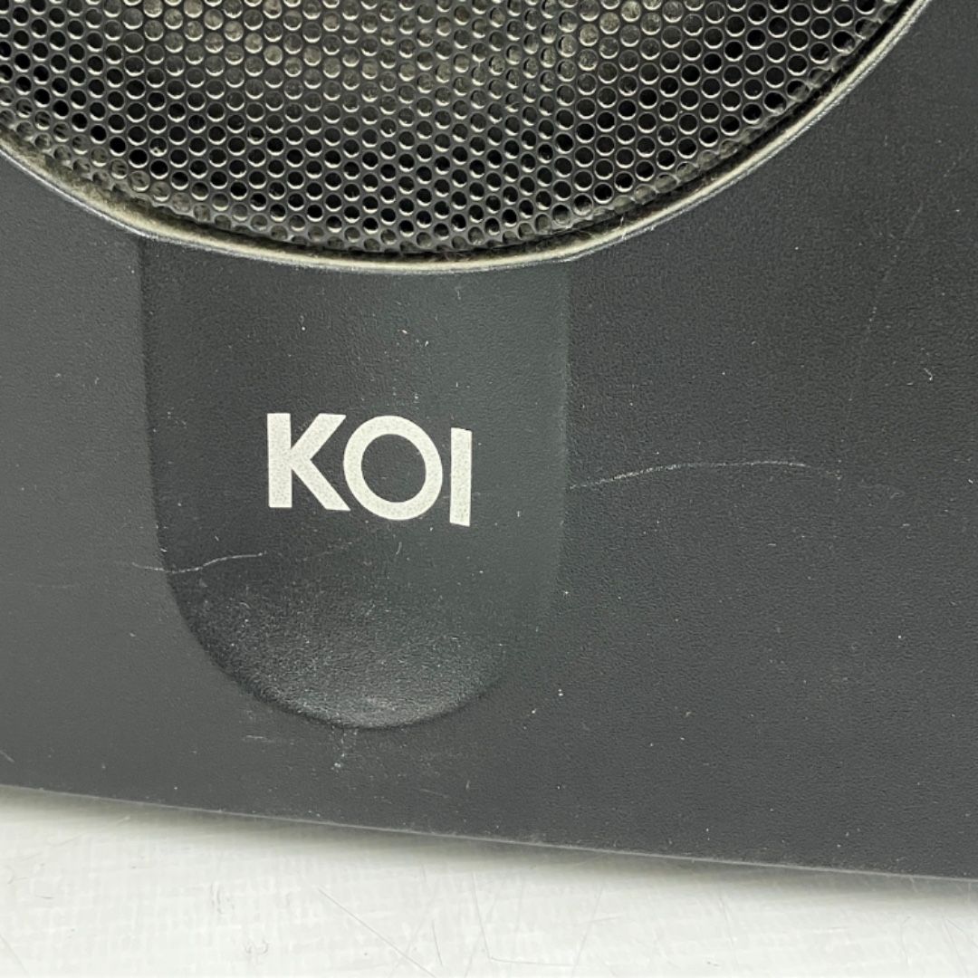 KOI Tiger Type 2a Powered Speaker System パワードスピーカー
