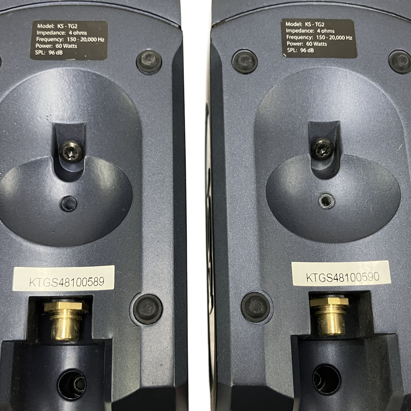 KOI Tiger Type 2a Powered Speaker System パワードスピーカー