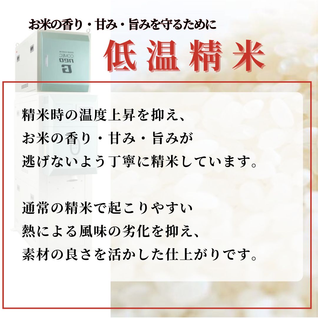 心米RICE】20kgブレンド米 九州産中心 コスパ◎毎日の食卓に - メルカリ