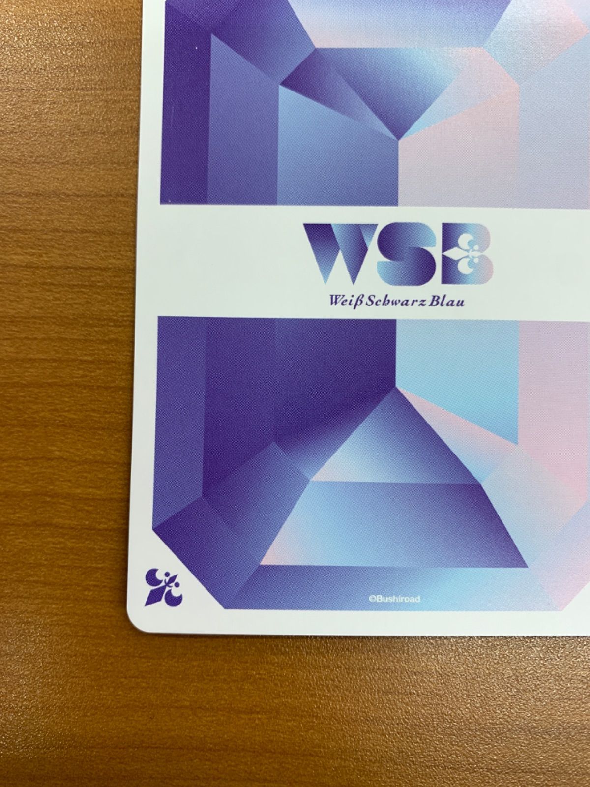 美品 後宮の謎に挑む 猫猫&壬氏 SSP サイン KSR/01B-003SSP ヴァイス