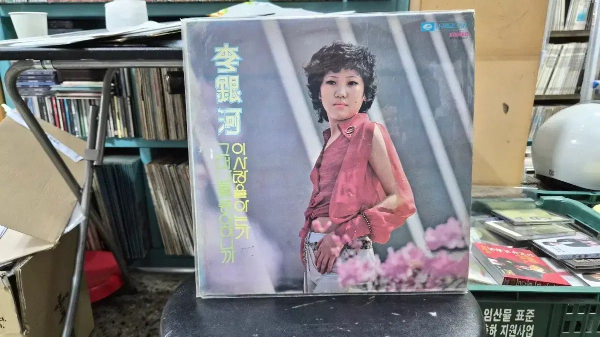 イ ウンハ この愛を 知っていますか LP 記録