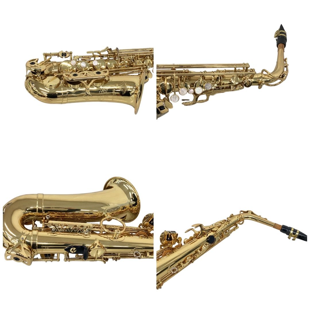 YANAGISAWA ヤナギサワ A-500 アルトサックス 楽器 ハードケース