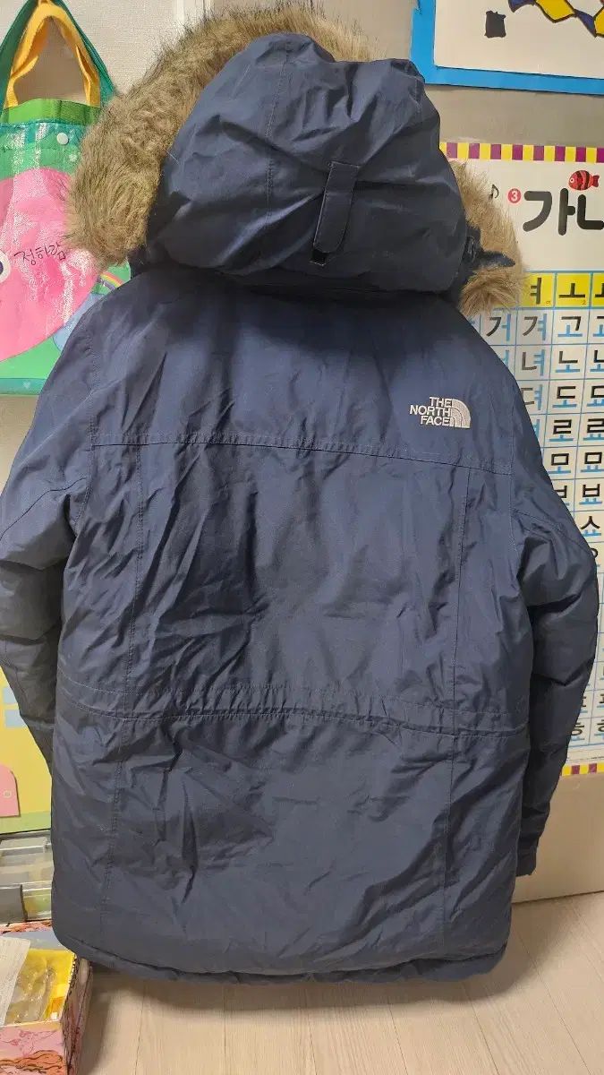 FACE ザノースフェイス