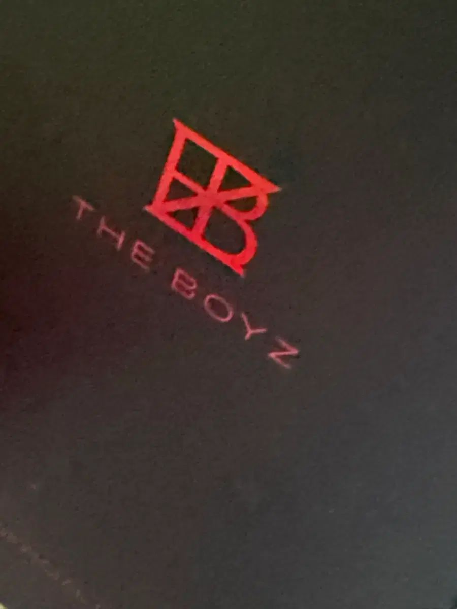 THE BOYZ ザ ボーイズ ドボイズ ペンライト 2
