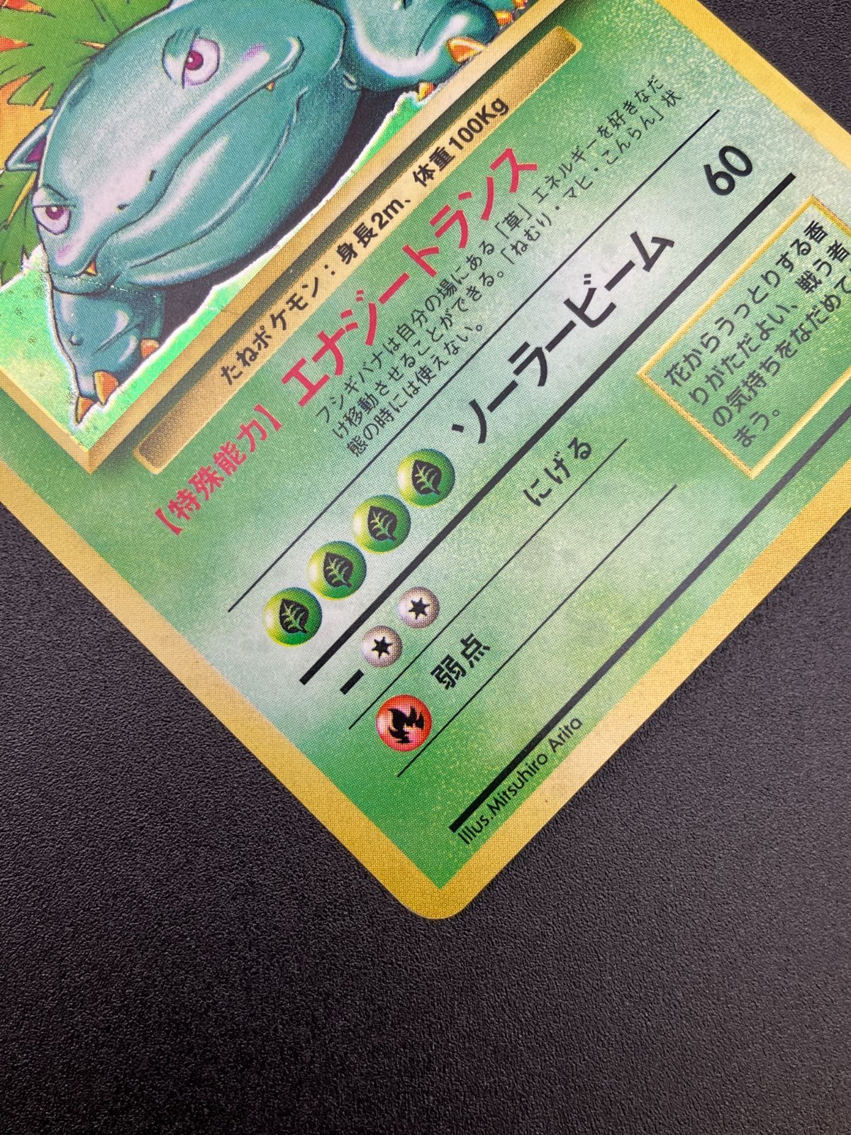 ポケモンカードゲーム ポケカ フシギバナ LV.67 旧裏面 SAR No.003