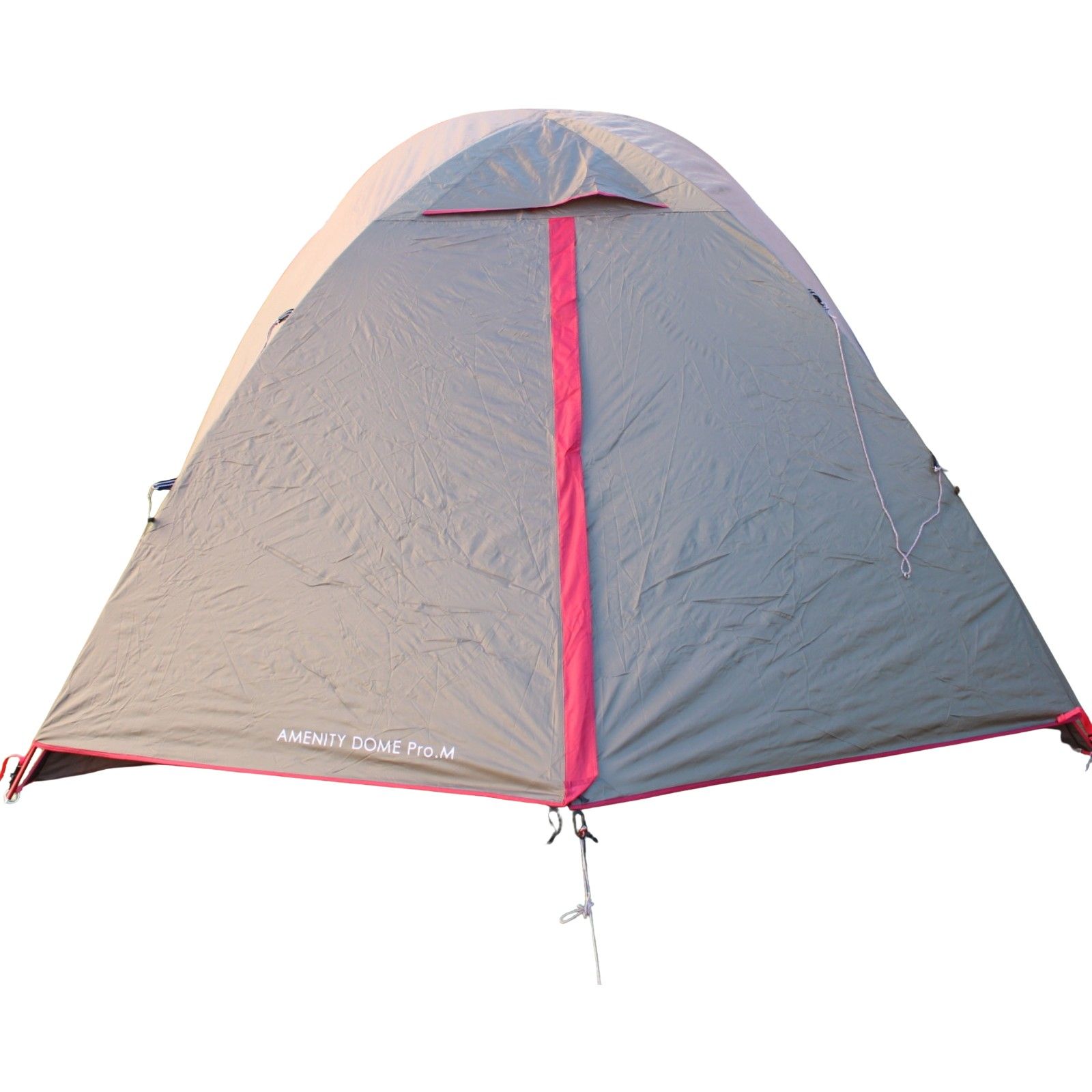 スノーピーク 60周年記念アメニティドームPro.M SDE-110 snow peak