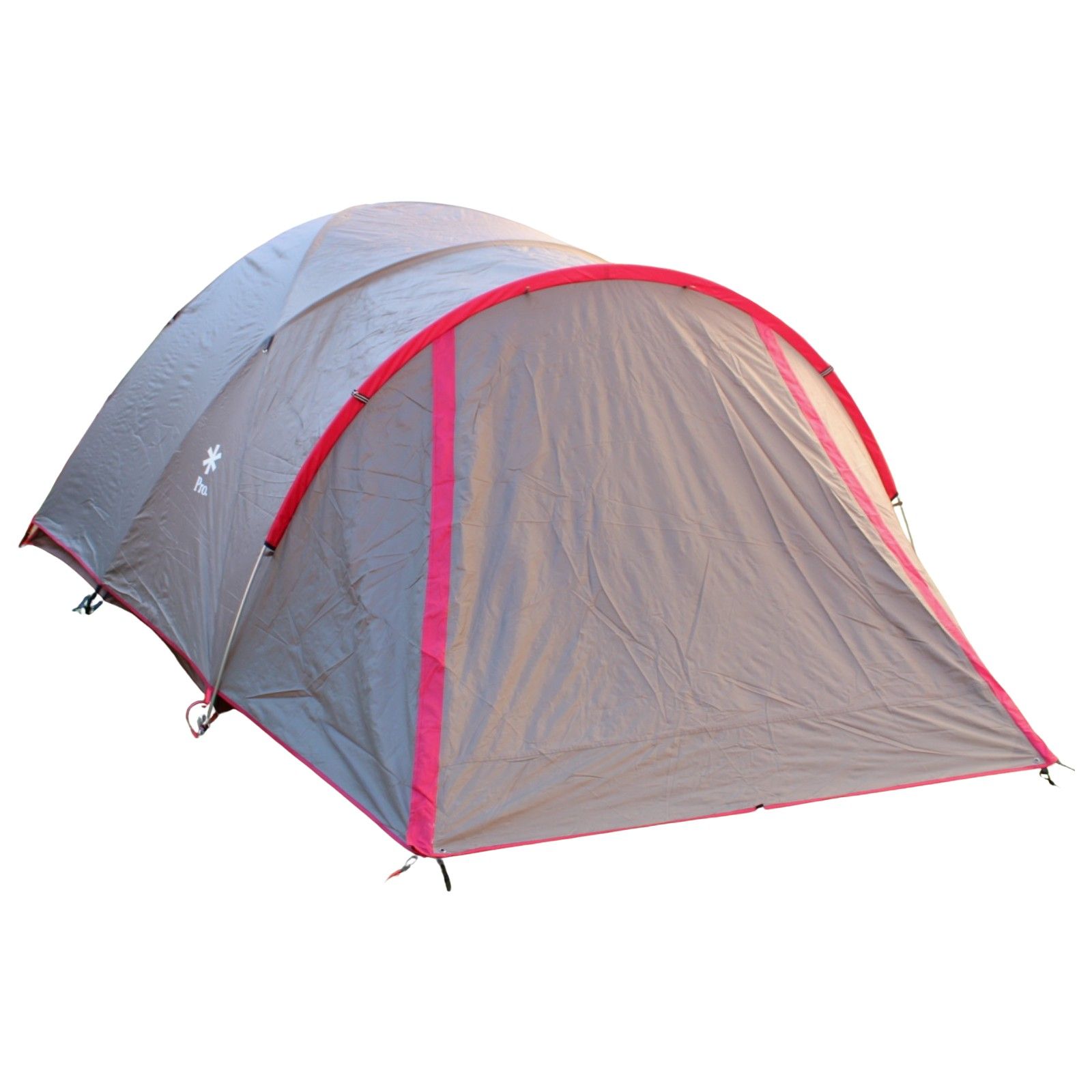 スノーピーク 60周年記念アメニティドームPro.M SDE-110 snow peak