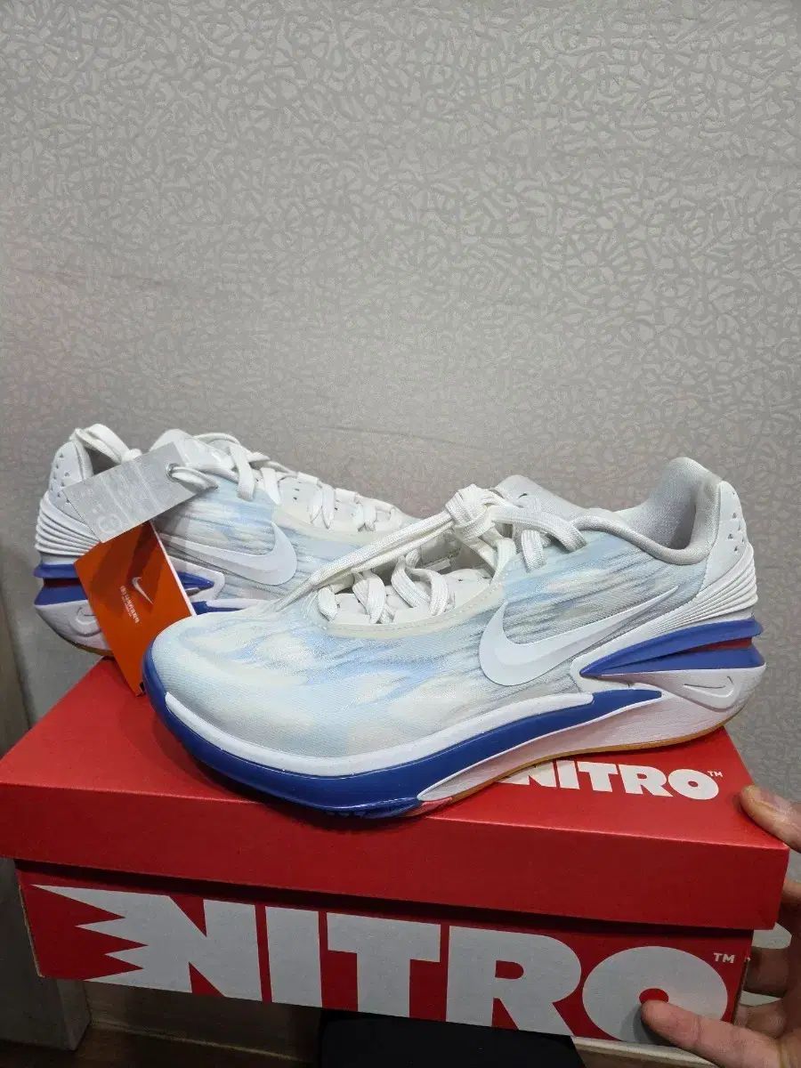 280 NIKE ナイキ ズーム GT カット2 サミット 白