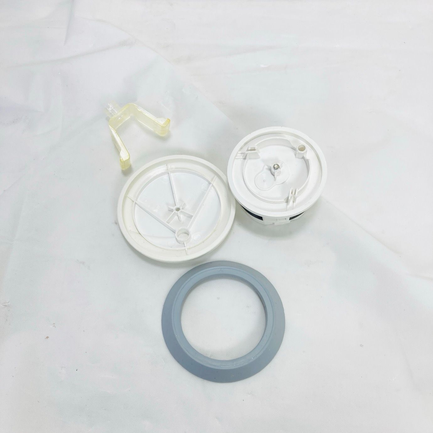 破損あり エンダモロジー