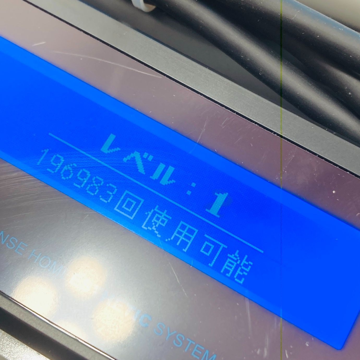 眉毛脱毛付 動作品