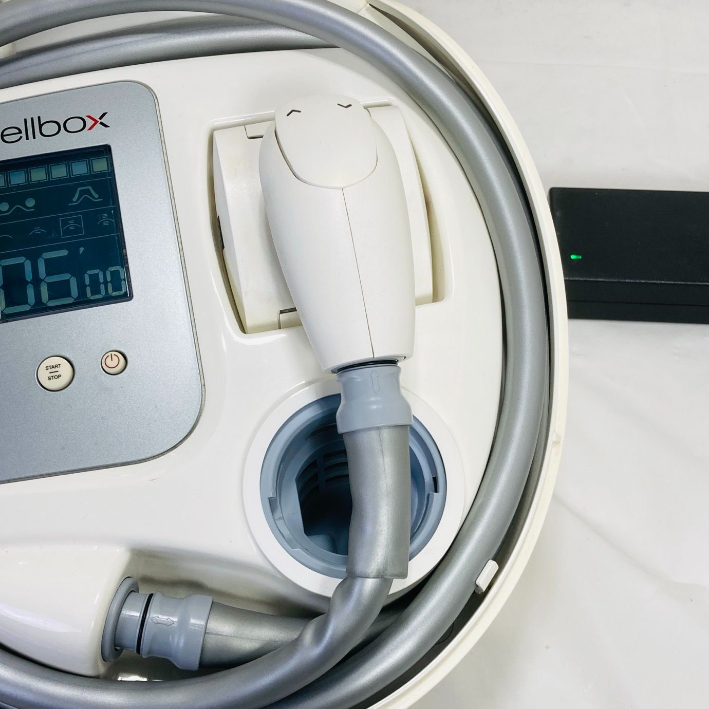 エンダモロジー