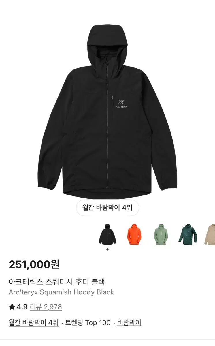 ARC TERYX スコーミッシュ s