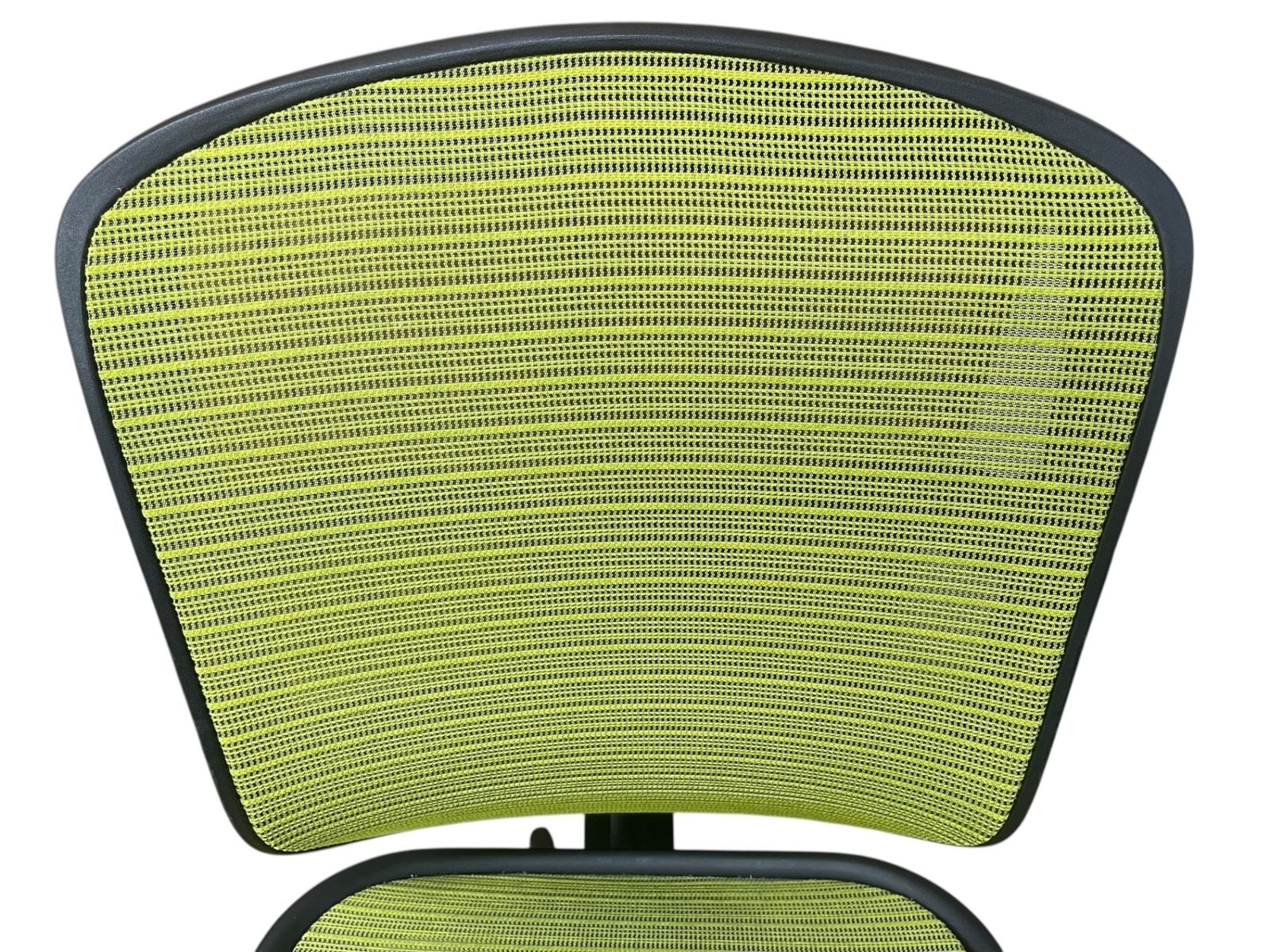 エルゴヒューマン エンジョイ