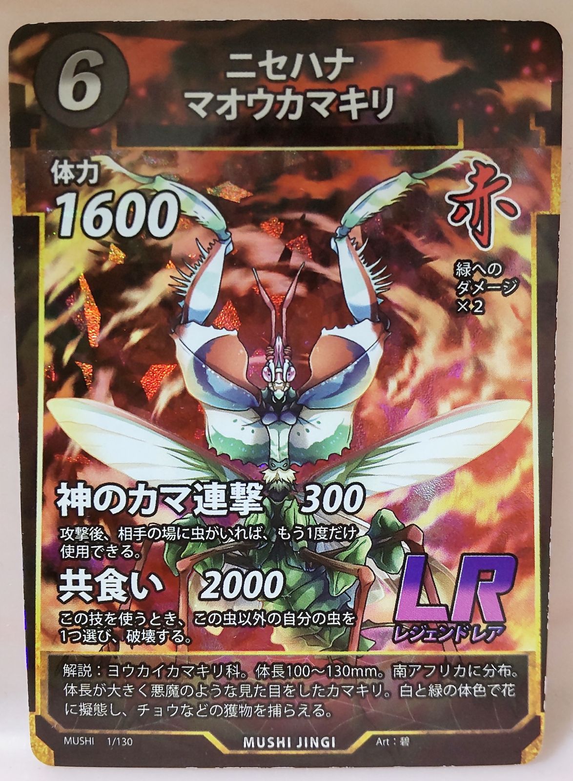 蟲神器 ニセハナマオウカマキリ LR - メルカリ