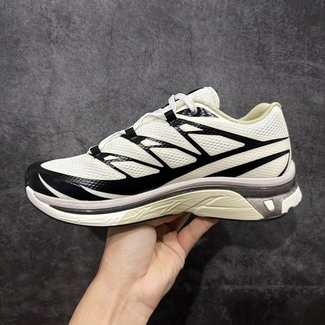 SALOMON x MM 6 Maison Margiela XT-MM バニラ アイス ブラック