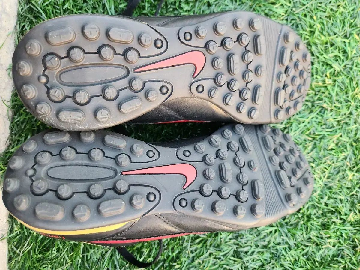 NIKE ティエンポ 불사조