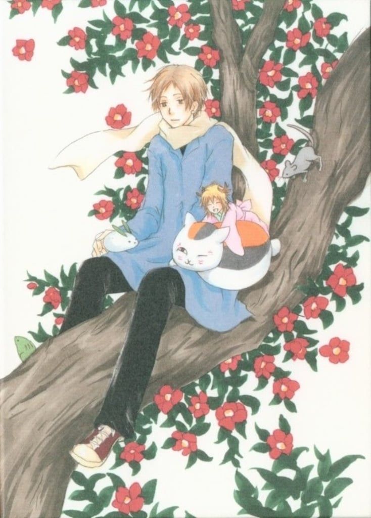 アニメDVD 続 夏目友人帳 全5巻セット 版