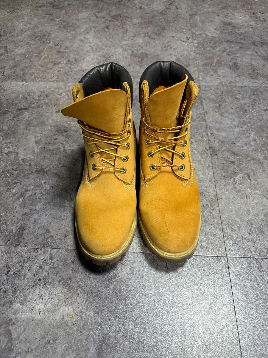 Timberland 6インチ 260
