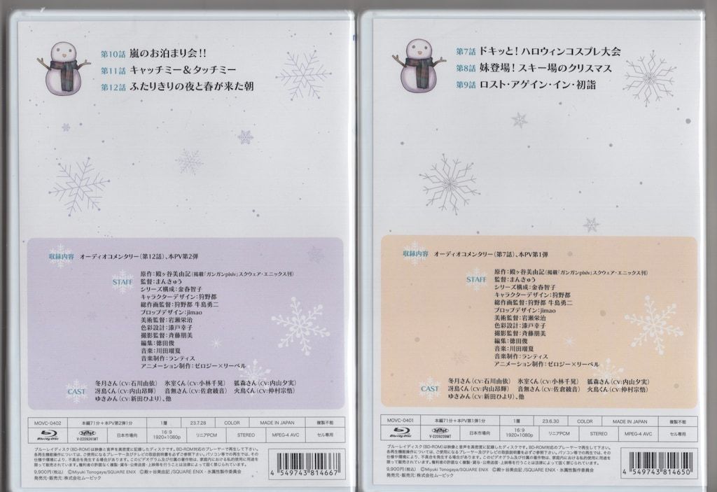 氷属性男子とクールな同僚女子