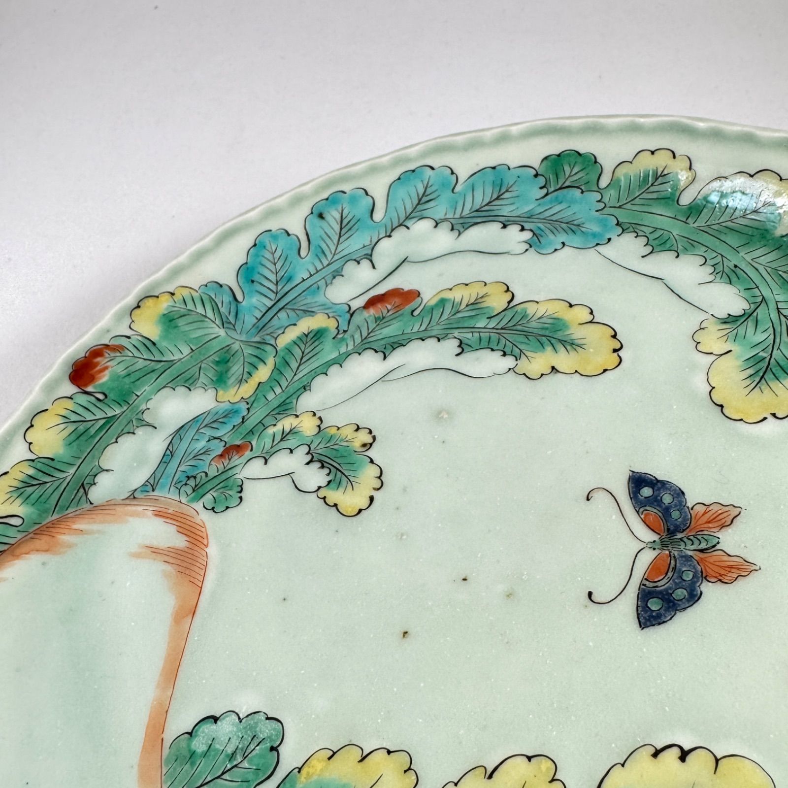 大根に飛蝶文皿