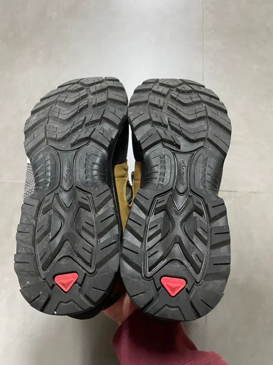 チャンミン オリーブ