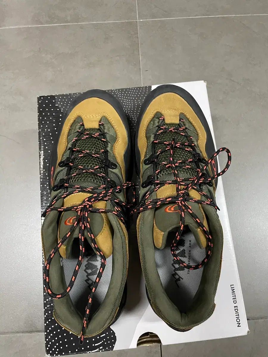 オリーブ ライト