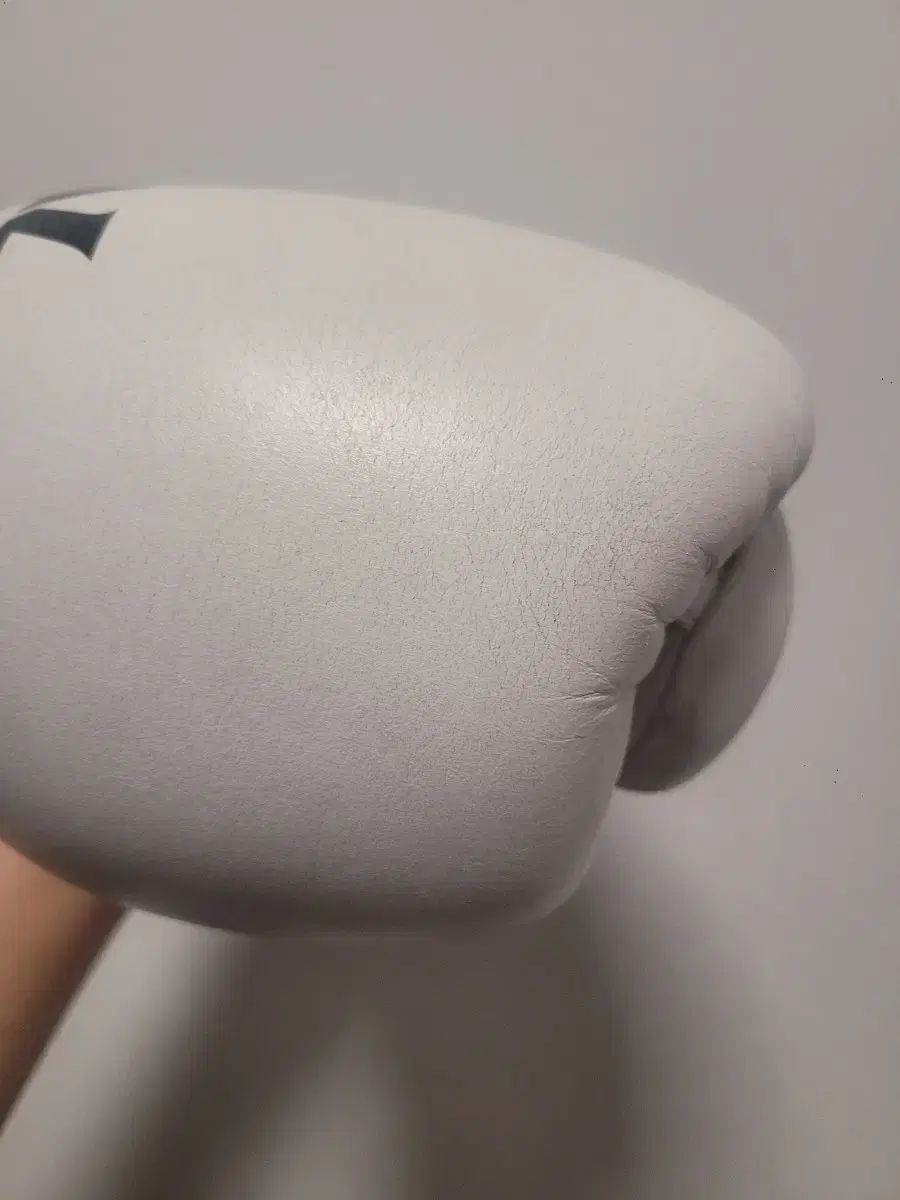  Rival RFX Guerrero スパーリングボクシンググローブ 白 14オンスです その他 ボクシング