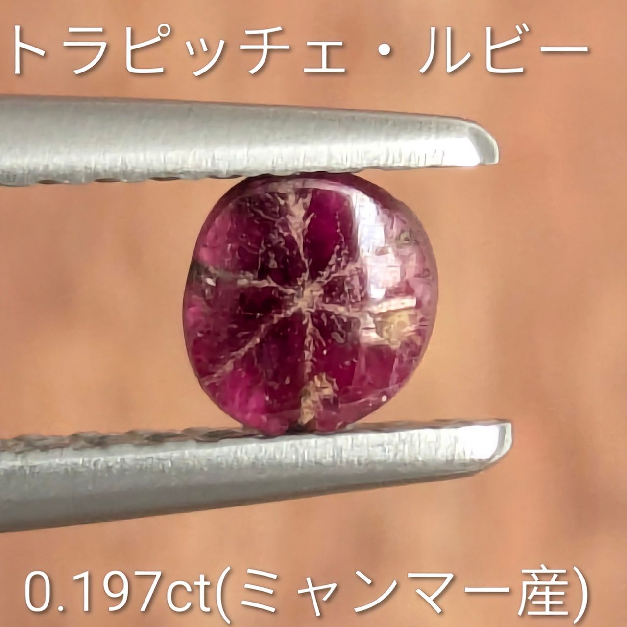 トラピチェルビー ミャンマー産 0 197 ct