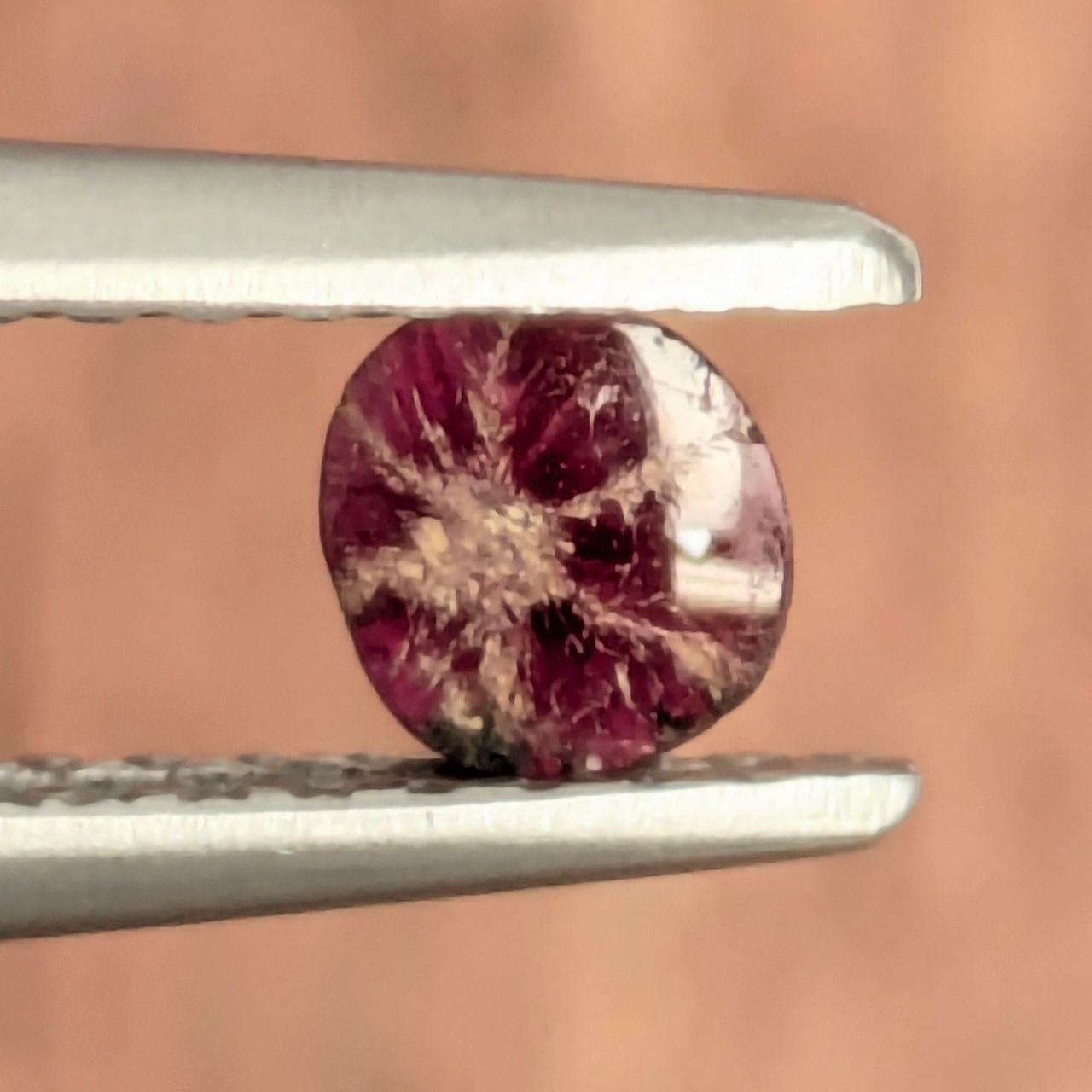 トラピチェルビー