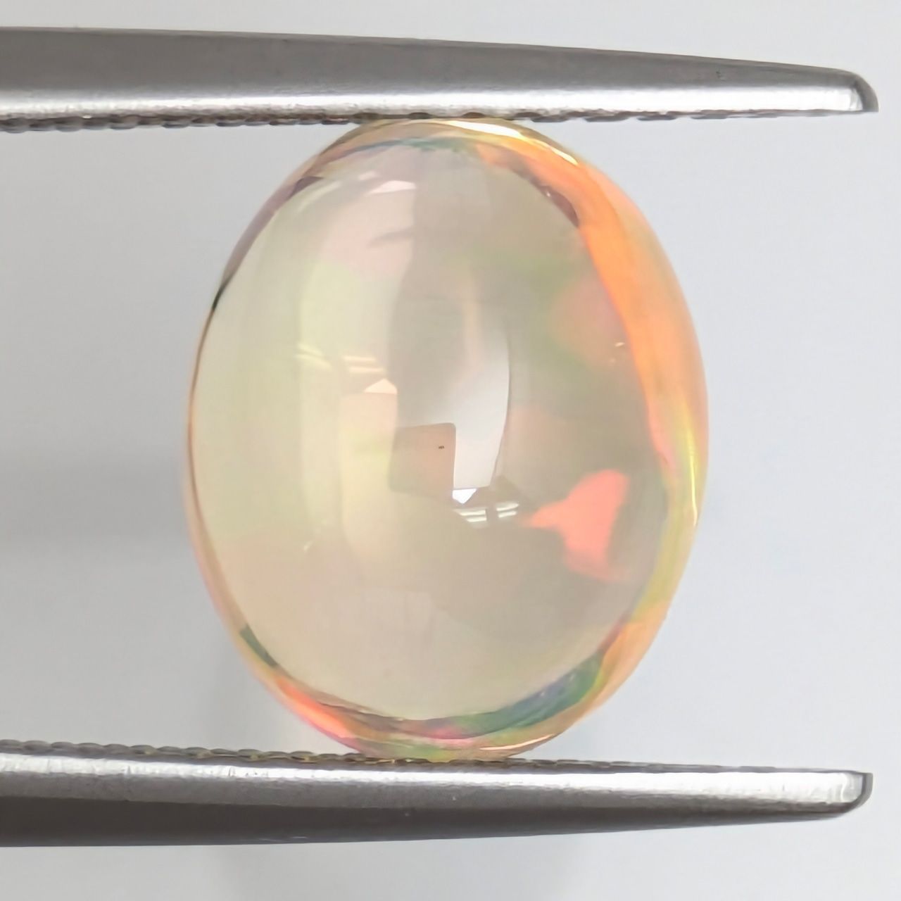 メキシコ産 3.008